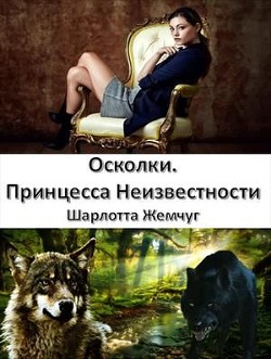 Читать онлайн книгу Осколки. Принцесса Неизвестности (СИ) автор Жемчуг Шарлотта Книга Осколки. Принцесса Неизвестности (СИ)