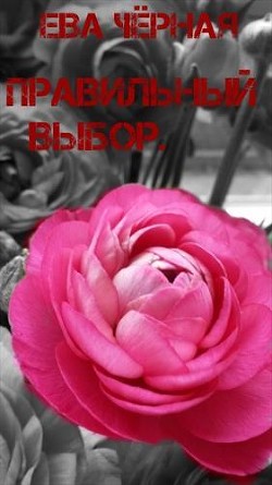 Читать онлайн книгу Правильный выбор (СИ) автор Черная Ева Л. Книга Правильный выбор (СИ)