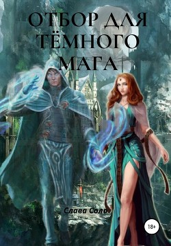 Читать онлайн книгу Отбор для тёмного мага (СИ) автор Соло Слава Книга Отбор для тёмного мага (СИ)