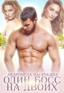 Читать онлайн книгу Один босс на двоих (СИ) автор Васечкина Андромеда Книга Один босс на двоих (СИ)