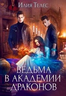 Читать онлайн книгу Ведьма в академии драконов (СИ) автор Ильина Настя Книга Ведьма в академии драконов (СИ)