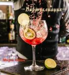 Читать онлайн книгу Виртуализация (СИ) автор Книга Виртуализация (СИ)
