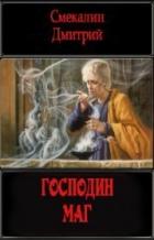 Читать онлайн книгу Господин маг (СИ) автор Смекалин Дмитрий Книга Господин маг (СИ)
