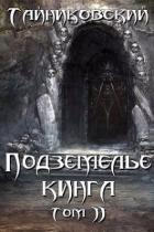 Читать онлайн книгу Подземелье Кинга. Том II (СИ) автор Книга Подземелье Кинга. Том II (СИ)