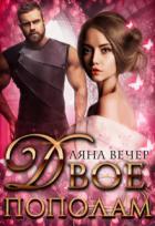 Читать онлайн книгу Двое пополам (СИ) автор Вечер Ляна Книга Двое пополам (СИ)