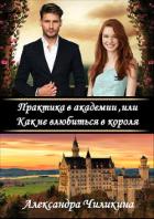 Читать онлайн книгу Практика в академии (СИ) автор Чиликина Александра Книга Практика в академии (СИ)