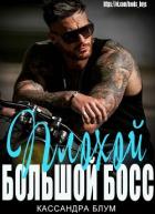 Читать онлайн книгу Плохой Большой Босс (ЛП) автор Блум Кассандра Книга Плохой Большой Босс (ЛП)