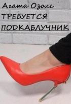 Читать онлайн книгу Требуется подкаблучник (СИ) автор Озолс Агата Книга Требуется подкаблучник (СИ)