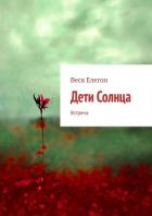 Читать онлайн книгу Дети Солнца. Встреча автор Елегон Веся Книга Дети Солнца. Встреча