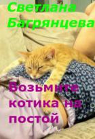 Читать онлайн книгу Возьмите котика на постой (СИ) автор Багрянцева Светлана Книга Возьмите котика на постой (СИ)