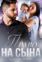 Книга Право на сына (СИ)