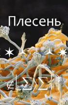 Читать онлайн книгу Плесень (СИ) автор Книга Плесень (СИ)