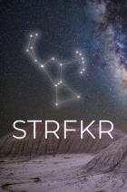 Читать онлайн книгу STRFKR (СИ) автор Книга STRFKR (СИ)