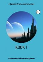 Читать онлайн книгу КООК 1 автор Ефимов Игорь Анатольевич Книга КООК 1