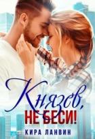 Читать онлайн книгу Князев, не беси! (СИ) автор Ланвин Кира Книга Князев, не беси! (СИ)