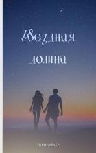 Читать онлайн книгу Звездная долина (СИ) автор Эйлер Тори Книга Звездная долина (СИ)