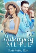 Читать онлайн книгу Навстречу мечте (СИ) автор Ши Катерина Книга Навстречу мечте (СИ)