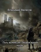 Читать онлайн книгу Путь выживших: Первое время после (СИ) автор Велесов Владимир Книга Путь выживших: Первое время после (СИ)