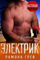 Читать онлайн книгу Электрик (ЛП) автор Грей Рамона Книга Электрик (ЛП)