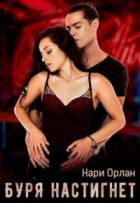 Читать онлайн книгу Буря настигнет (СИ) автор Орлан Нари Книга Буря настигнет (СИ)