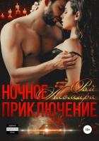 Книга Ночное приключение