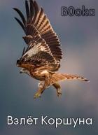 Читать онлайн книгу Взлёт Коршуна (СИ) автор Книга Взлёт Коршуна (СИ)