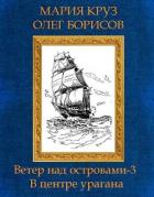 Читать онлайн книгу В центре урагана (СИ) автор Борисов Олег Николаевич Книга В центре урагана (СИ)
