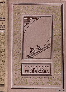 Читать онлайн книгу Два и две семерки автор Дружинин Владимир Николаевич Книга Два и две семерки