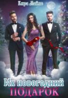 Читать онлайн книгу Их новогодний подарок (СИ) автор Майле Кира Книга Их новогодний подарок (СИ)