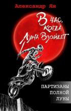 Читать онлайн книгу Партизаны полной Луны (СИ) автор Кинн Екатерина Книга Партизаны полной Луны (СИ)