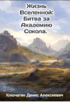 Читать онлайн книгу Битва за Академию Сокола (СИ) автор Ключагин Денис Книга Битва за Академию Сокола (СИ)