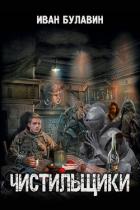 Книга Чистильщики (СИ)