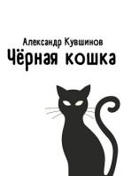 Книга Чёрная кошка