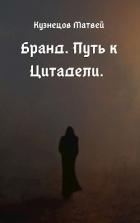 Читать онлайн книгу Путь к Цитадели (СИ) автор Кузнецов Матвей Книга Путь к Цитадели (СИ)