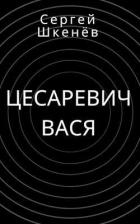 Читать онлайн книгу Цесаревич Вася (СИ) автор Шкенев Сергей Николаевич Книга Цесаревич Вася (СИ)