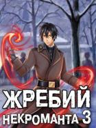 Читать онлайн книгу Жребий некроманта 3 (СИ) автор Решетов Евгений Валерьевич Книга Жребий некроманта 3 (СИ)