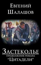 Читать онлайн книгу Застеколье (СИ) автор Шалашов Евгений Васильевич Книга Застеколье (СИ)