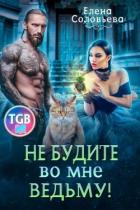 Читать онлайн книгу Не будите во мне ведьму (СИ) автор Соловьева Елена Книга Не будите во мне ведьму (СИ)