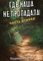 Читать онлайн книгу Где наша не пропадала 2 (СИ) автор Малыгин Владимир Книга Где наша не пропадала 2 (СИ)