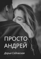 Читать онлайн книгу Просто Андрей (СИ) автор Садовская Дарья Книга Просто Андрей (СИ)
