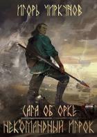 Читать онлайн книгу Некомандный игрок (СИ) автор Чиркунов Игорь Книга Некомандный игрок (СИ)