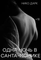 Читать онлайн книгу Одна ночь в Санта-Монике (СИ) автор Дарк Нико Книга Одна ночь в Санта-Монике (СИ)