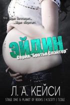 Читать онлайн книгу Эйдин (ЛП) автор Кейси Л. А. Книга Эйдин (ЛП)