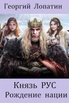 Книга Рождение нации (СИ)
