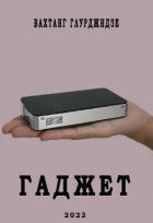 Читать онлайн книгу Гаджет (СИ) автор Глурджидзе Вахтанг Книга Гаджет (СИ)