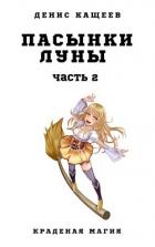 Читать онлайн книгу Пасынки Луны. Часть 2 (СИ) автор Кащеев Денис Книга Пасынки Луны. Часть 2 (СИ)