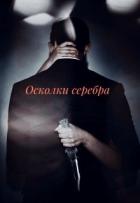 Книга Осколки серебра (СИ)