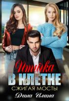 Читать онлайн книгу Птичка в клетке. Сжигая мосты (СИ) автор Илина Дина Книга Птичка в клетке. Сжигая мосты (СИ)
