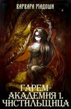 Книга Гарем-академия 1. Чистильщица (СИ)