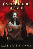 Читать онлайн книгу Смерть после жизни (СИ) автор Книга Смерть после жизни (СИ)